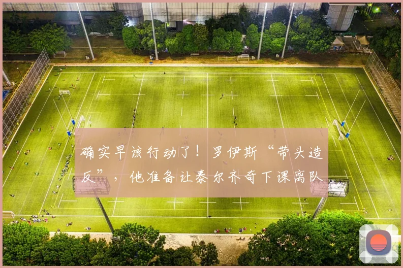 确实早该行动了！罗伊斯“带头造反”，他准备让泰尔齐奇下课离队