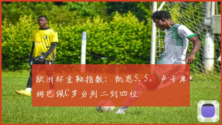 欧洲杯金靴指数：凯恩5.5，卢卡库姆巴佩C罗分列二到四位